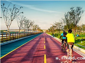 彩色米兰体育app入口官网