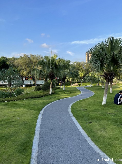 广州黄埔区创新公园透水混凝土案例