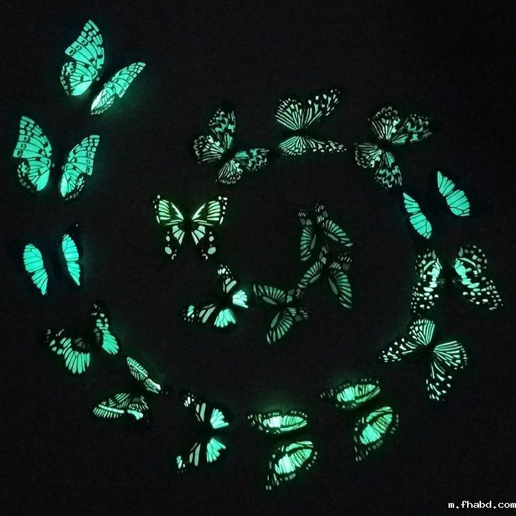 彩色透水胶粘石混夜光石蝴蝶花案例